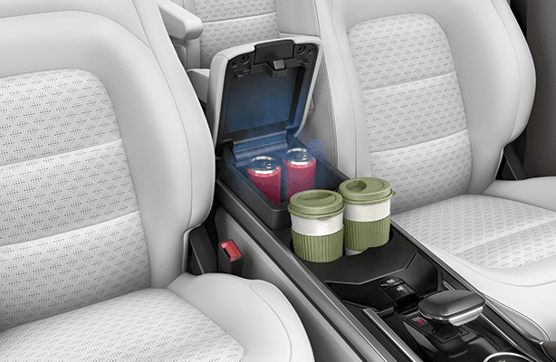 Front Arm Rest with Cooled Storage in Tata Safari